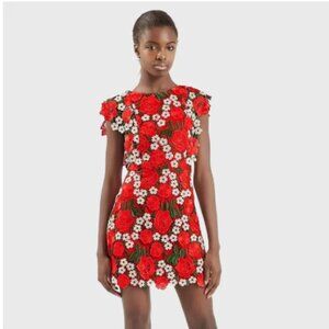 NWT Top Shop Floral Lace A-line Dress Size 4